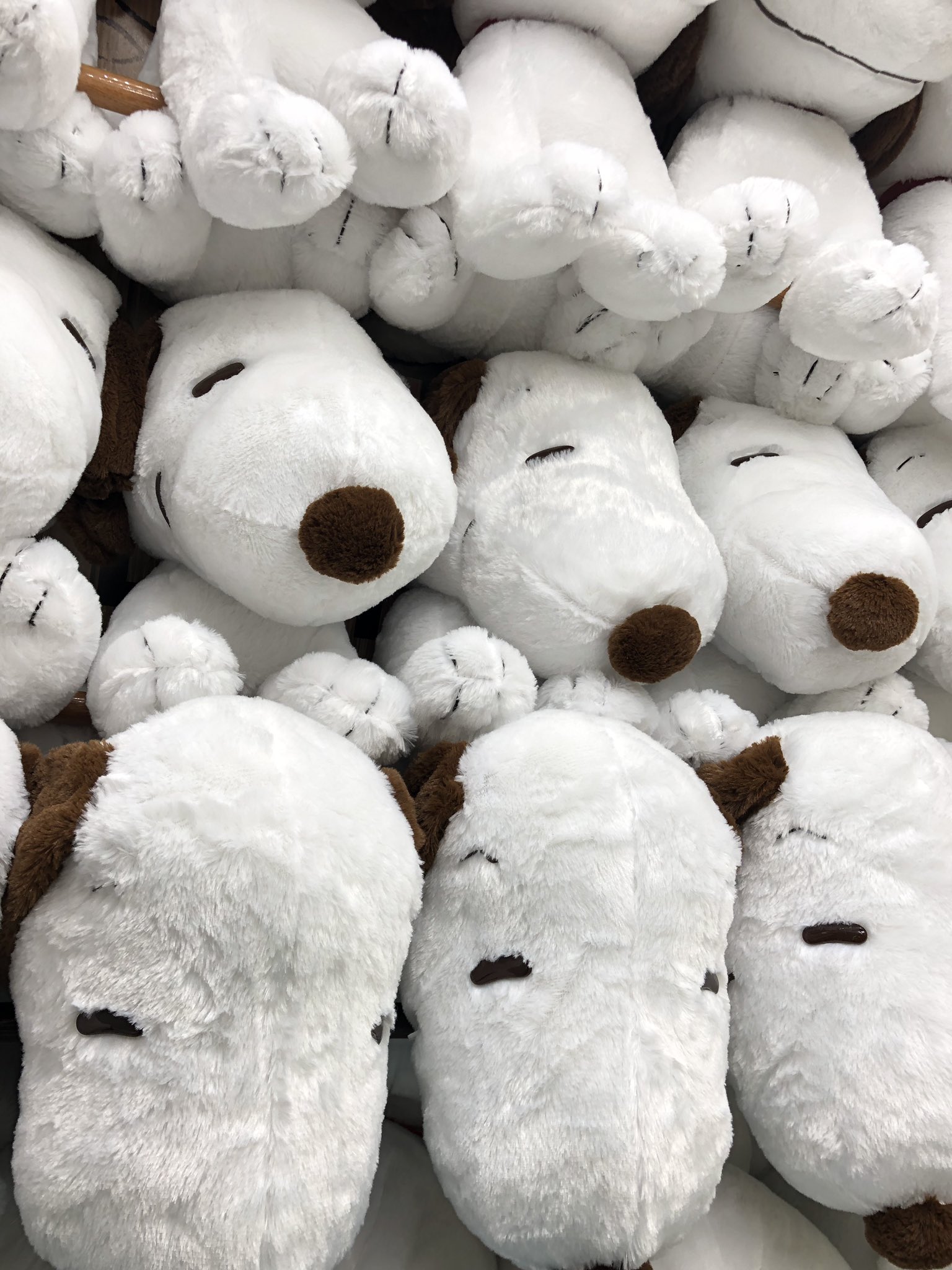 タイトーステーション立川北口 24時まで営業中 2f プライズ 新景品 Snoopy ギガジャンボ おすわりポーズ ふわふわぬいぐるみ ブラウンver 全1種 スヌーピーから 大きいサイズのぬいぐるみが登場 フワフワで手触り最高です Snoopy スヌーピー