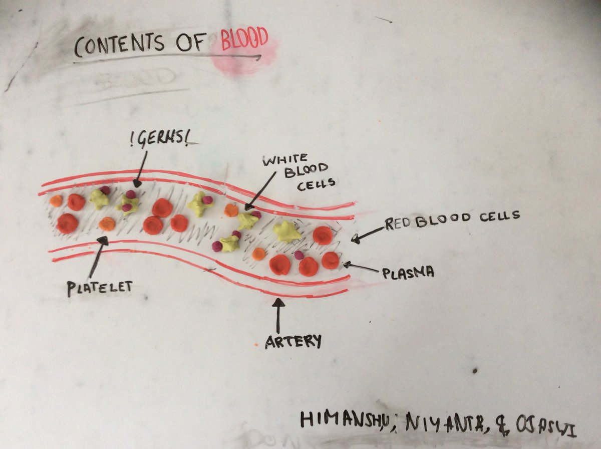 TBS Science tweet media