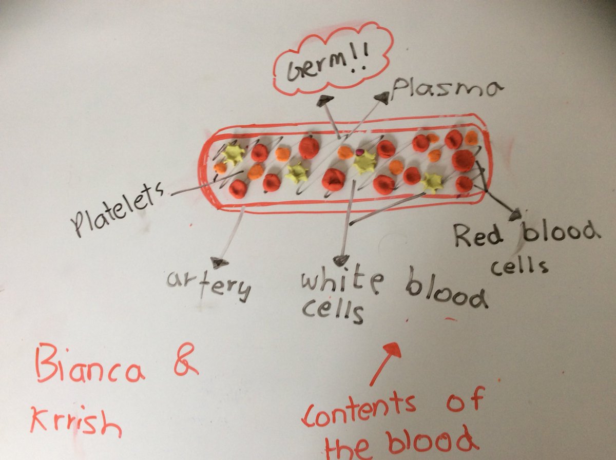 TBS Science tweet media