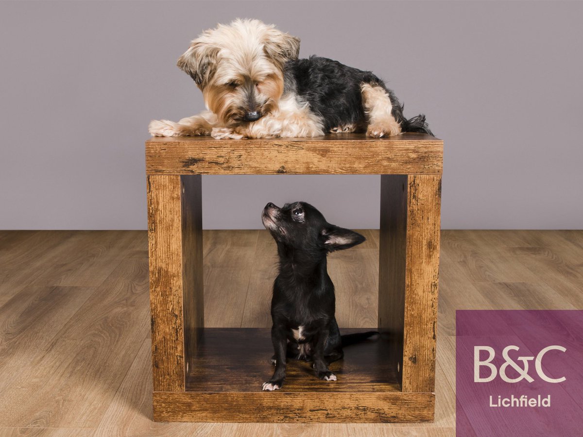 Barrett & Coe Lichfield (@barrett_coelich) on Twitter photo 