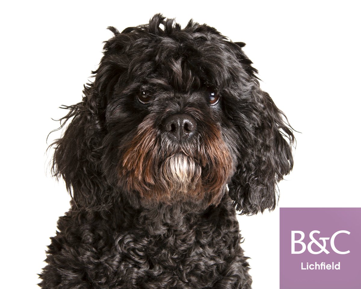 Barrett & Coe Lichfield (@barrett_coelich) on Twitter photo 