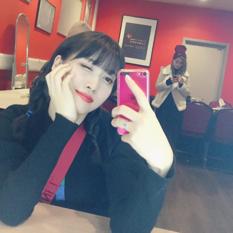 shasasea's tweet photo. 's post. 

Ohayo, Once-nim!~ Anlamsız fotoğraflar serimiz de, bugün elma ve "poz ver, dubu!" dememe rağmen beni kââle almayan dubu var. https://t.co/wsNB3RY4P8