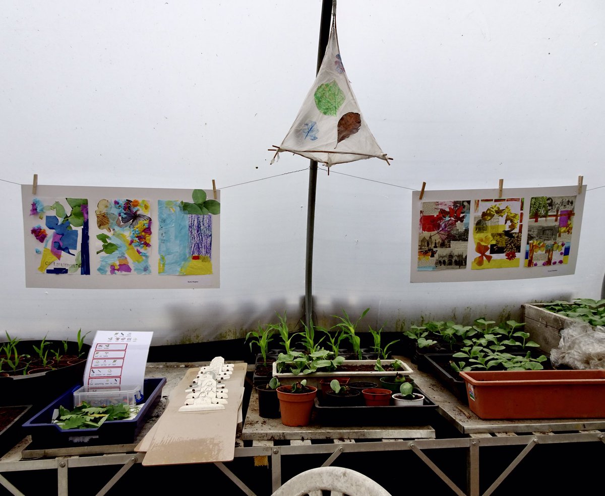 BoundaryWay's tweet photo. Day 8 of @KanjNicholas #afloweraday challenge to brighten chilly days - here’s some lovely collage work created by pupils from Penn Fields School displayed as part of our #Sensingnature open day last Spring where pupils shared their learning with other classes, parents &amp; staff https://t.co/awcQIc0keX