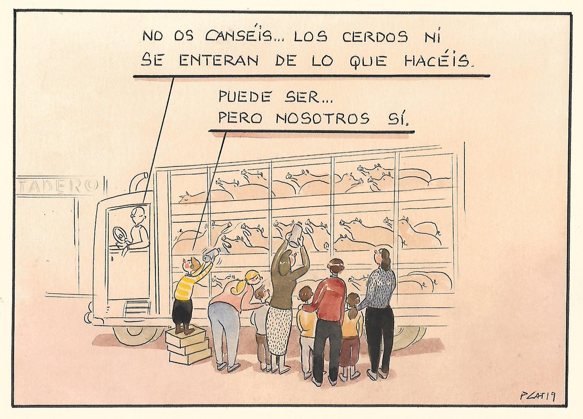 Paco Catalán. tweet media
