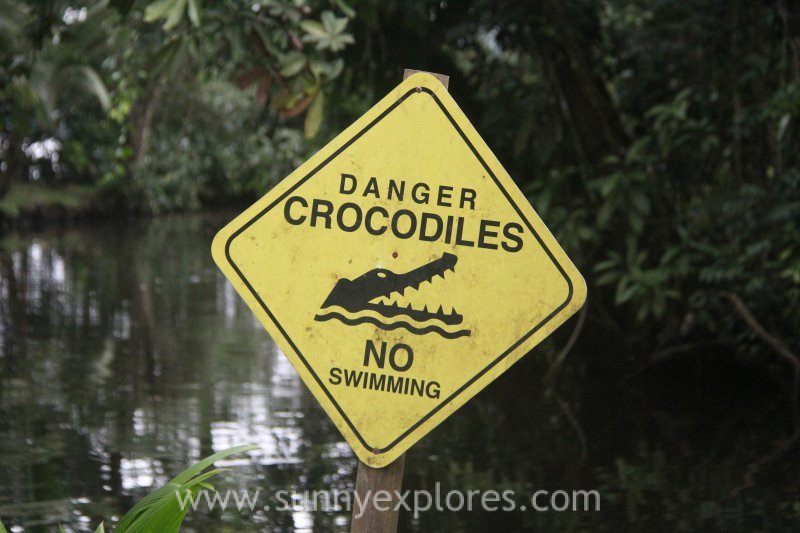 SunnyExplores's tweet photo. New #travelblog on #sunnyexplores #lessons I learned from #traveling 
https://t.co/NIitHGXeRx #travelblogger #crocodile https://t.co/jbYxfOTA8D