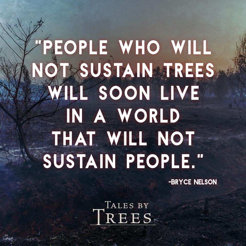 #climatechange #sustainability #talesbytrees