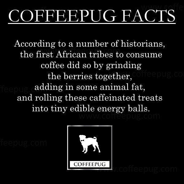 thecoffeepug's tweet photo. https://t.co/wEcwpk1X8L