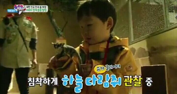 seulbearkang02's tweet photo. PART 2
of SEULGI &amp; DAEHAN similarities:
THEY BOTH LOVE ANIMALS

#RedVelvet #SEULGI #songtriplets #DAEHAN #SeulgiDaehan #SeulHan https://t.co/zIamEDNnzH