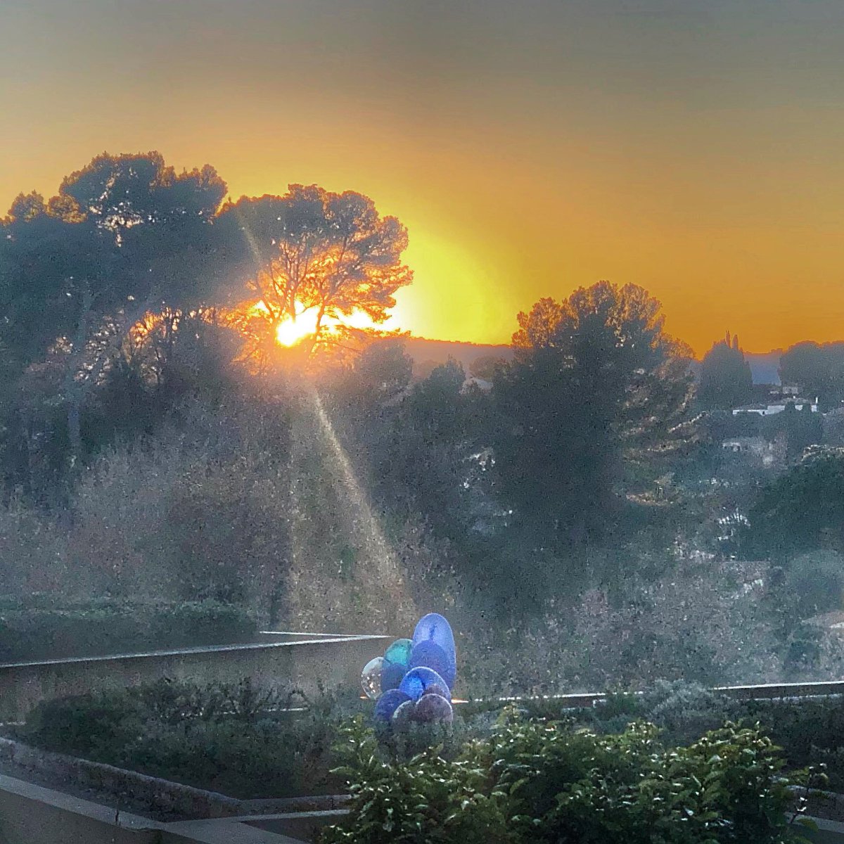 LeMasCandille's tweet photo. The #sunrays were seeking out the beautiful #glass #dunes by @AntoinePierini on our #roofgardens last night during #sunset! Sit back &amp; soak up the nightly show with a glass of your favourite tipple in your hand and relax! #CotedAzurFrance #Mindfulness https://t.co/sFjOzw3zHD
