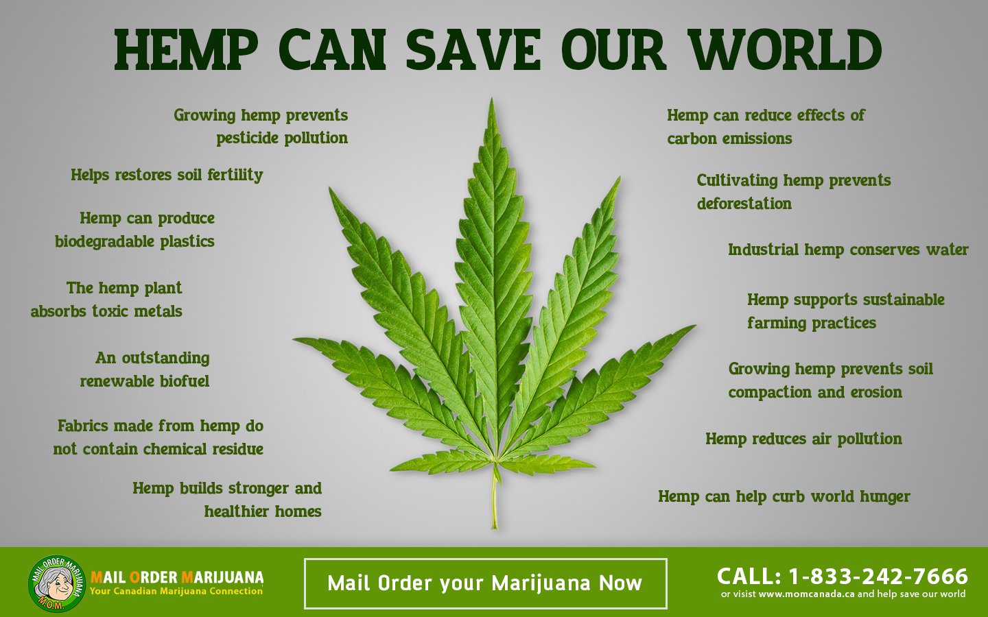 Hemp in Bahasa Melayu