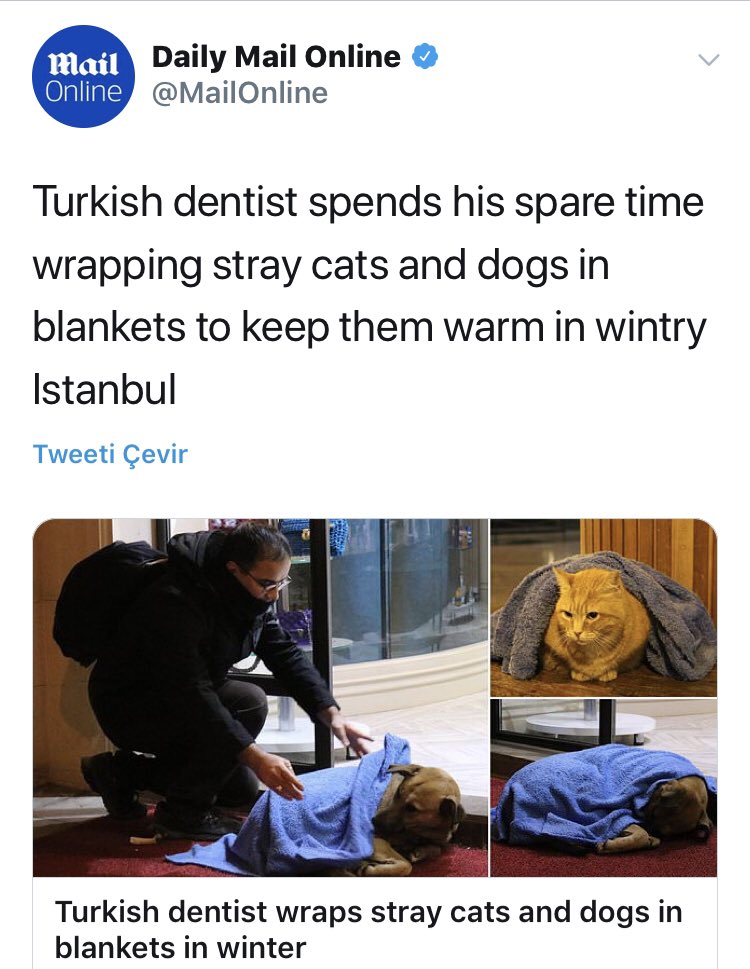 Dünya kamuoyunun da dikkatini çeken Türkiyeden çok güzel bir insan hikayesi....
Diş Hekimi Hüseyin Yurtseven ve arkadaşları, akşam saatlerinde İstanbul'da semt semt dolaşarak uyuyan sokak hayvanlarının üzerine battaniye seriyor..
Fotoğraflar <a href="/anadoluajansi/">Anadolu Ajansı</a> <a href="/unalgundogdu/">Ünal  Gündoğdu</a>