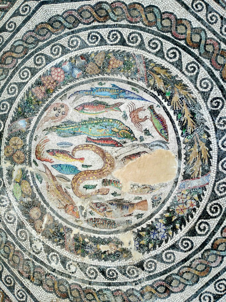jdmsvq's tweet photo. Al ver este mosaico del siglo III d.C. en Toledo llamado "de las cuatro estaciones" me ha venido a la mente el encontrado en Cantillana (Sevilla) también con peces 🐬🐠🐟 #Toletum y #Naeva @CExpCantillana @carmen_caesaris @arqueosevilla @AdepaSevillaHca https://t.co/3BD61S4sdq