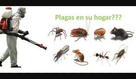 FUMIGACIONESCCS's tweet image. Tenemos la SOLUCION para cada necesidad!! Conteol todo tipo plagas!!  0412 7097161... 04168340605 ...