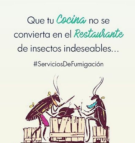 FUMIGACIONESCCS's tweet image. 