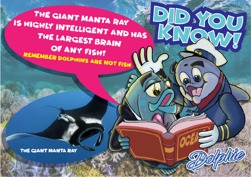 #oceanelders #oceanobserve #oceanplastic #Greenpeace #waylandmarineartist #oceanconserve #WWF #guyharvey #nationalgeographic #saveourseas #noplastic #triggerfishanimation #disneyanimation