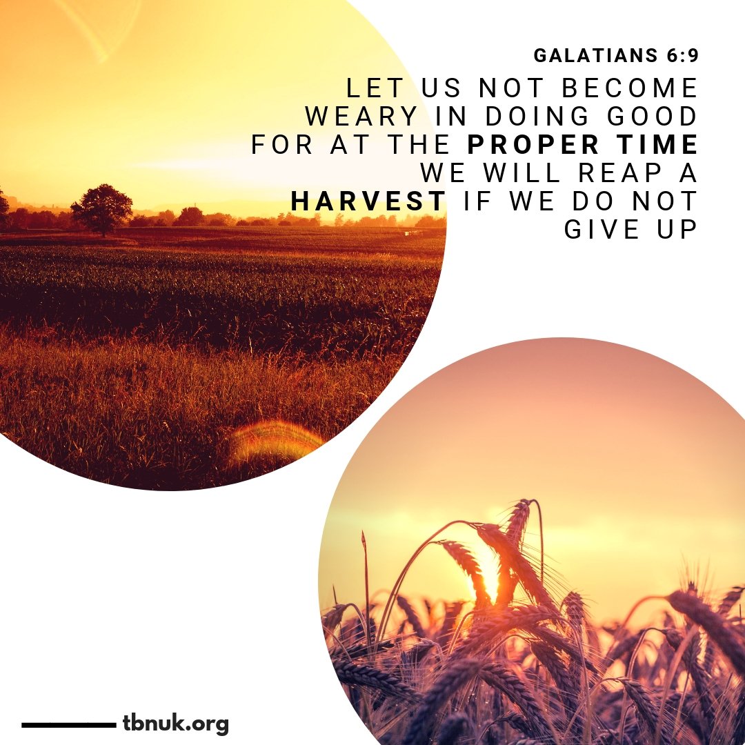 TBNUKtv's tweet image. As we sow good, let us see a fruitful harvest #TimeForEverything #VerseOfTheDay #NewSeason #NeverMissAMoment #Time #Jesus #God #HolySpirit #Love #Devotional #TBNUK #Freeview65 #Sky582