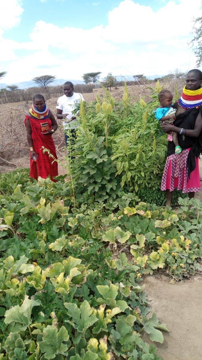 Min. of Agriculture, Pastoral Economy & Fisheries tweet media