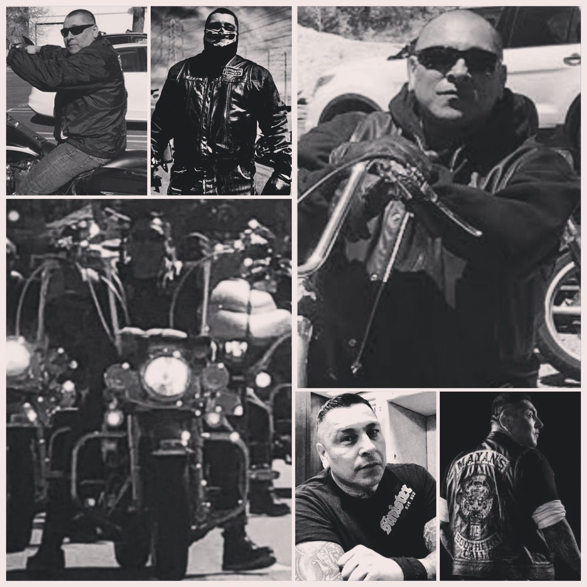 elimon1018's tweet photo. You know what day it is.. #FrankieFriday!! Trying to mix it up a bit, looking for photos I haven't used. Mixing them with some I have. @frankieloyal, you never have a bad photo! #bonafidebadass #inthebestway #respectalways https://t.co/WCoREfgksC