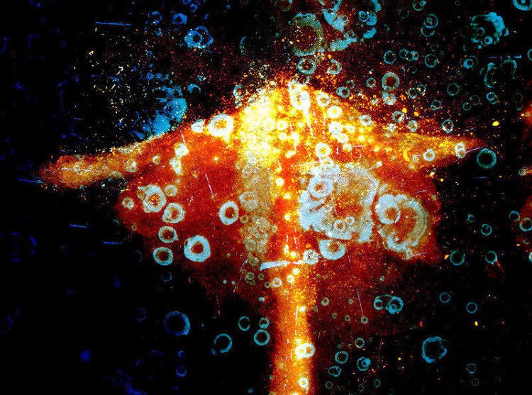 zippyframes's tweet image. It seems OK to be tiny. @Emily_Scaife talks to #Zippyframes about her acclaimed experimental animation short, Attraction ow.ly/JtQo30nriSY