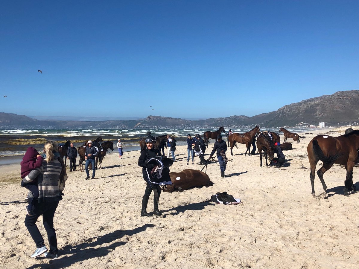 SamPGracing's tweet photo. Fascinating morning with ⁦@SnaithRacing⁩ on the eve of the famous Met meeting. https://t.co/wJD3WvlBEa