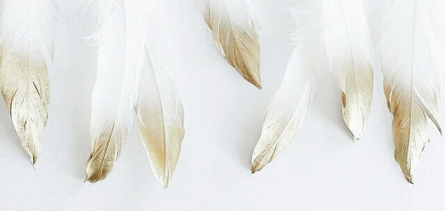 iwasanangcl's tweet photo. ✫  . 　　　
 . 　 　        　▸ Kιɴereт.  ˚ 

     ❛—I'll be the blood if you'll be the bones. So lift up my body and lose all control. I'm giving you all, I'm giving you all❜

                 T H E   E X I L E D

✧ ғᴀʟʟᴇɴ ᴀɴɢᴇʟ {ᴰᵉᵛᶤˡ}.
✧ ᴘɪᴀɴɪsᴛ↬ᴘᴀɪɴᴛᴇʀ. https://t.co/M4tLDiz6HR