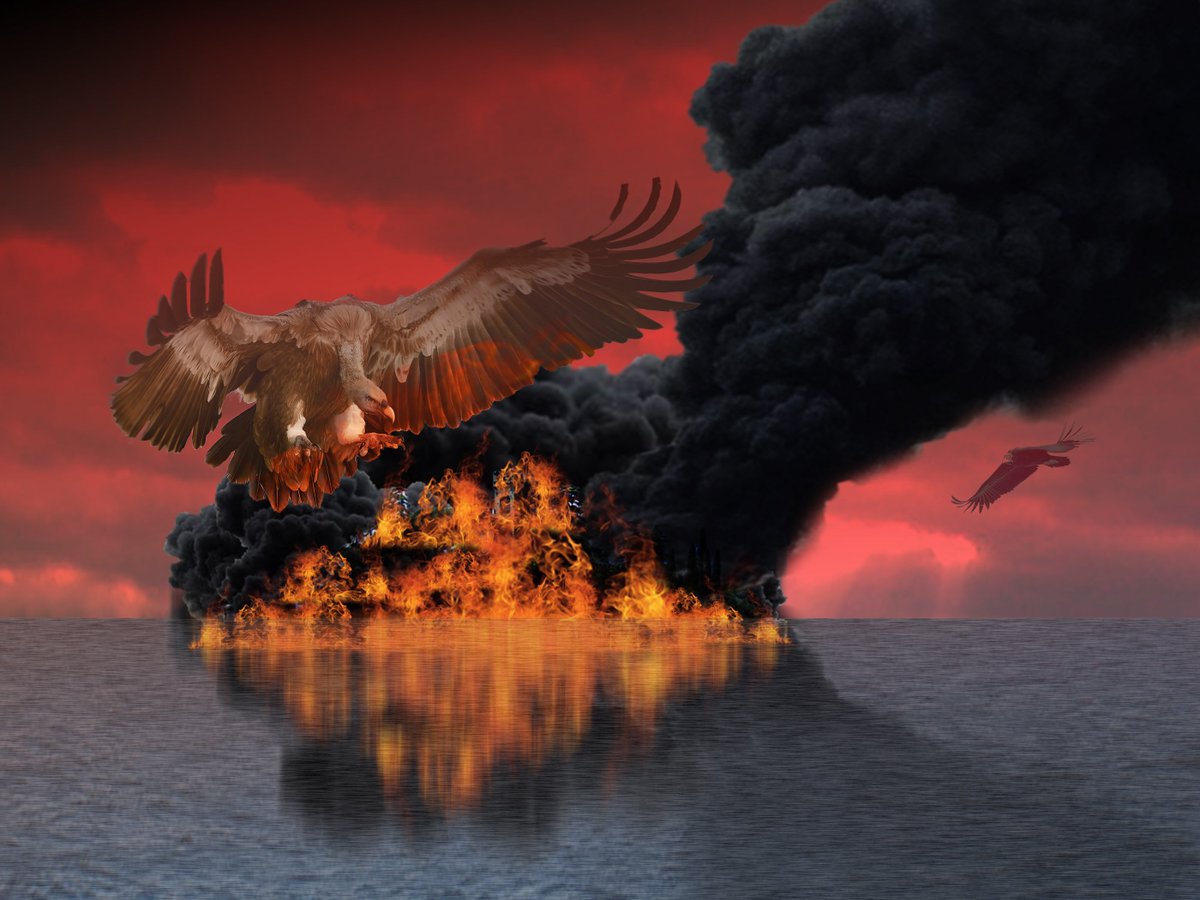 DorinaBoneva's tweet photo. "The vulture attacks" - personal concept art project done with through photo manipulation. Inspired by the movie "Reign of fire". #conceptart #photomanipulation #vulture #concept #fire #attack #inspiration #dark #darktheme https://t.co/IdsEXGkBly