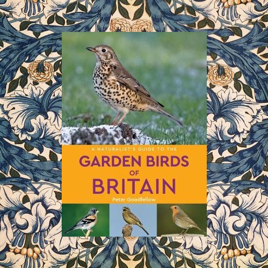 It's #FreebieFriday! We're giving away 3 copies of a not-yet-realeased garden bird identification guide ahead of the RSPB #GardenBirdwatch. Read about the quality guide from John Beaufoy Books here: bit.ly/2DyDitW

FOLLOW, LIKE &amp; RT to enter! Winners announced Monday 28!