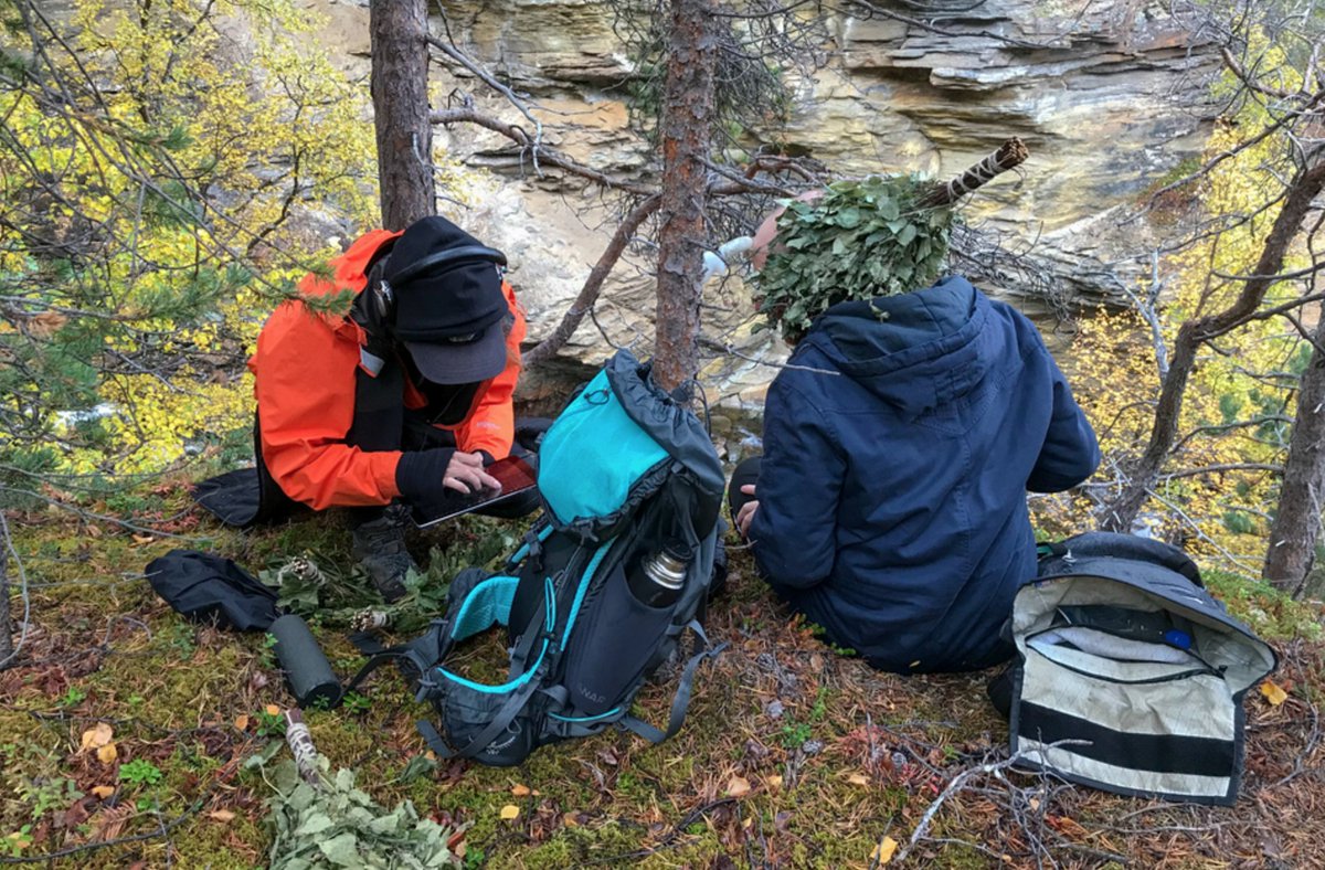 bioartsociety's tweet photo. #blog #archive Reciprocal Sensing (Insensible Sensibilities) #field_notes hosted by @Untitledbodies with @HeatherABarnett Martin Malthe Borch, @poemproducer Lumi Greie-Ripatti, @real_mkk @Avnerus & Antti Tenetz https://t.co/PVYabxTx0X https://t.co/9QXV8KYlgX