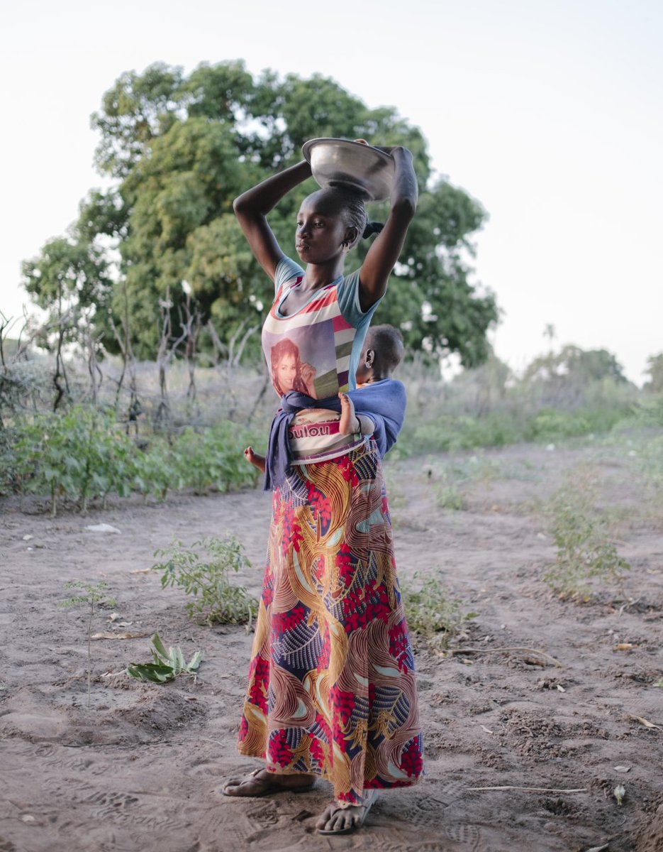 ecosia's tweet photo. We don’t need to cut down trees to grow food. We now know that many crops grow better if trees are planted on the same field, especially in drier climates like that of Senegal’s 🌳💓🍎 https://t.co/ARS6WBGOjr