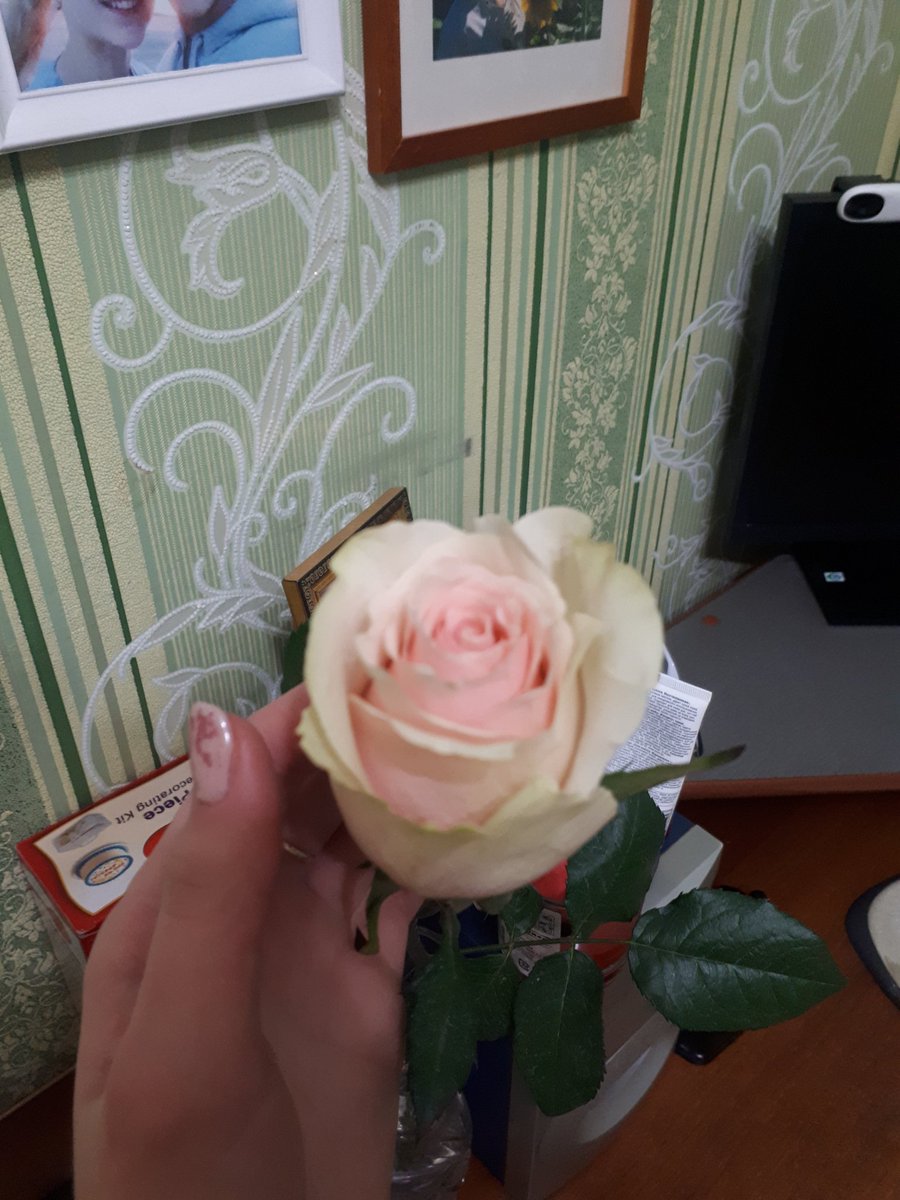vasyukevichT's tweet photo. Особенно приятно получать такое ��нимание от папы❤ https://t.co/qs0WKY4LnD