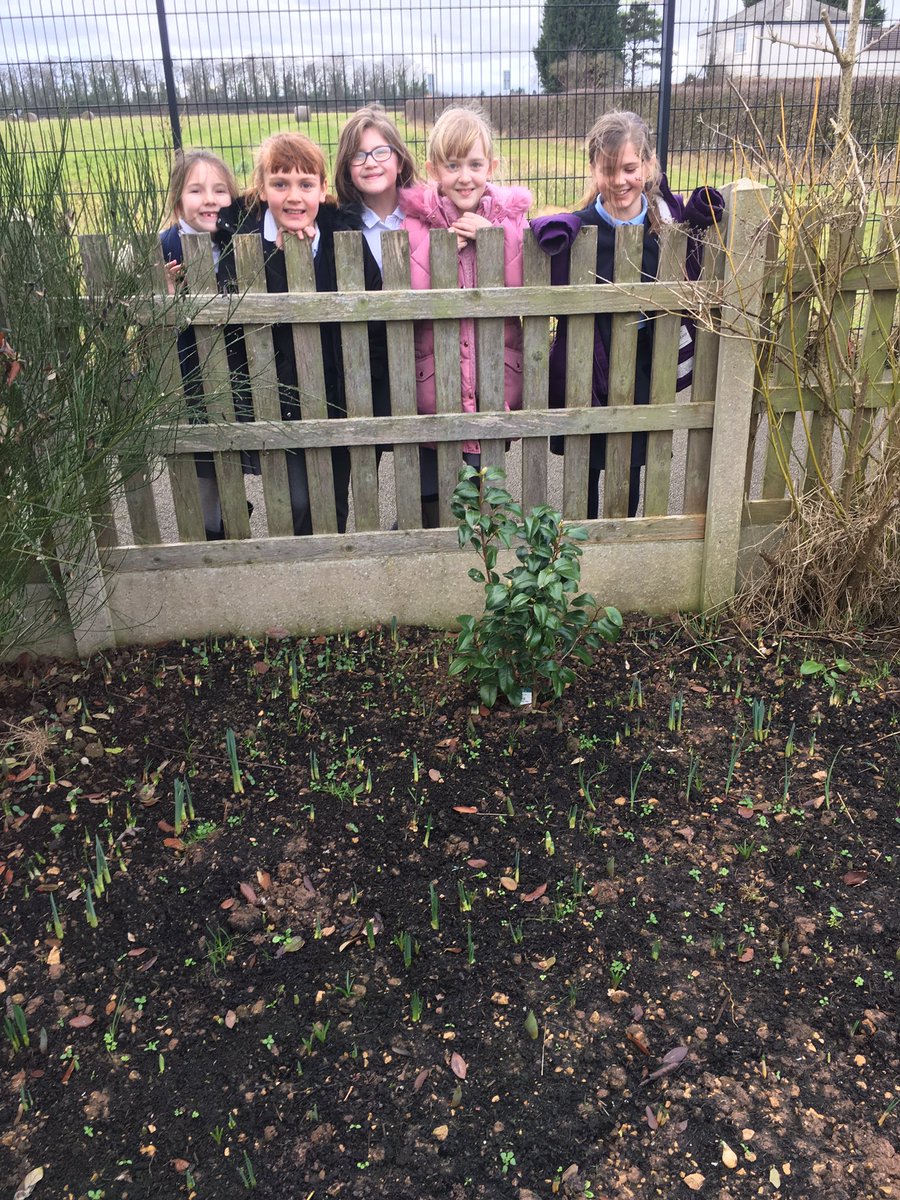 RamptonHead's tweet photo. @rampton_primary . https://t.co/dsYnSkbajY