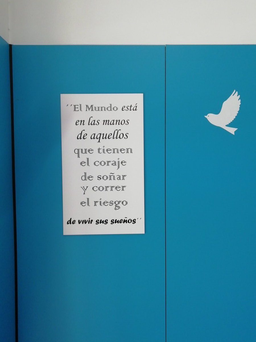javiluisi's tweet photo. https://t.co/lLvVWlM280