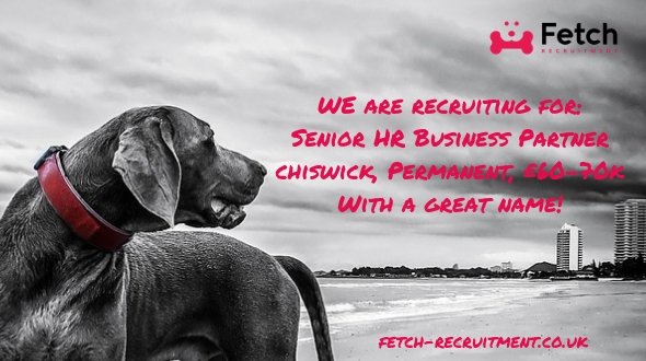 Would you like a Senior HR Business Partner role with one of the most interesting businesses going?

We are looking for someone to work in Chiswick on a salary of circa £60-70k. This is a very special job.

For details/to apply: ow.ly/mQJc30nrXzv