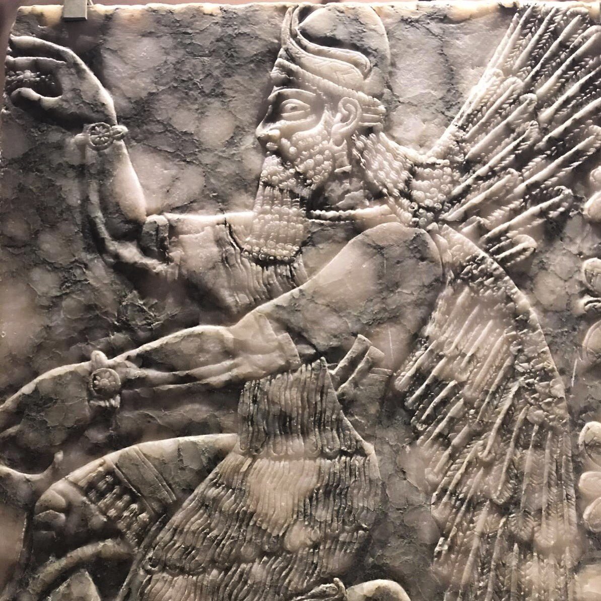 Great day looking round all the brilliant museums Cambridge has to offer. A particular favourite being the Fitzwilliam Museum. This is a relief of an Assyrian Diety from 879 BC.
.
.
.
#artrekking #fitzwilliammuseum #cambridge #articheck