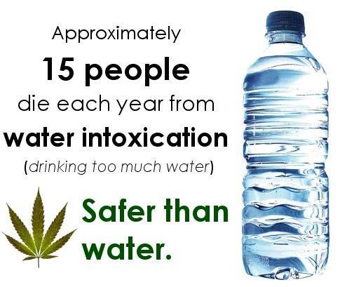 OneFallenAngelM's tweet photo. 🤓👇🏻🌿🎈 https://t.co/9S5qC7jbV8