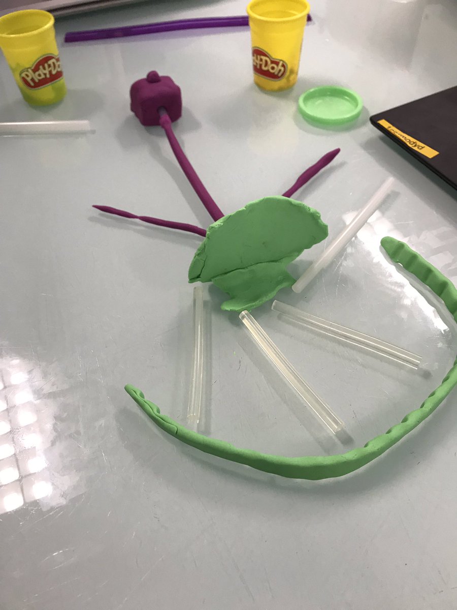 BurchBurcha's tweet photo. The famous gold foil experiment! #mslearns https://t.co/awb36QccbX