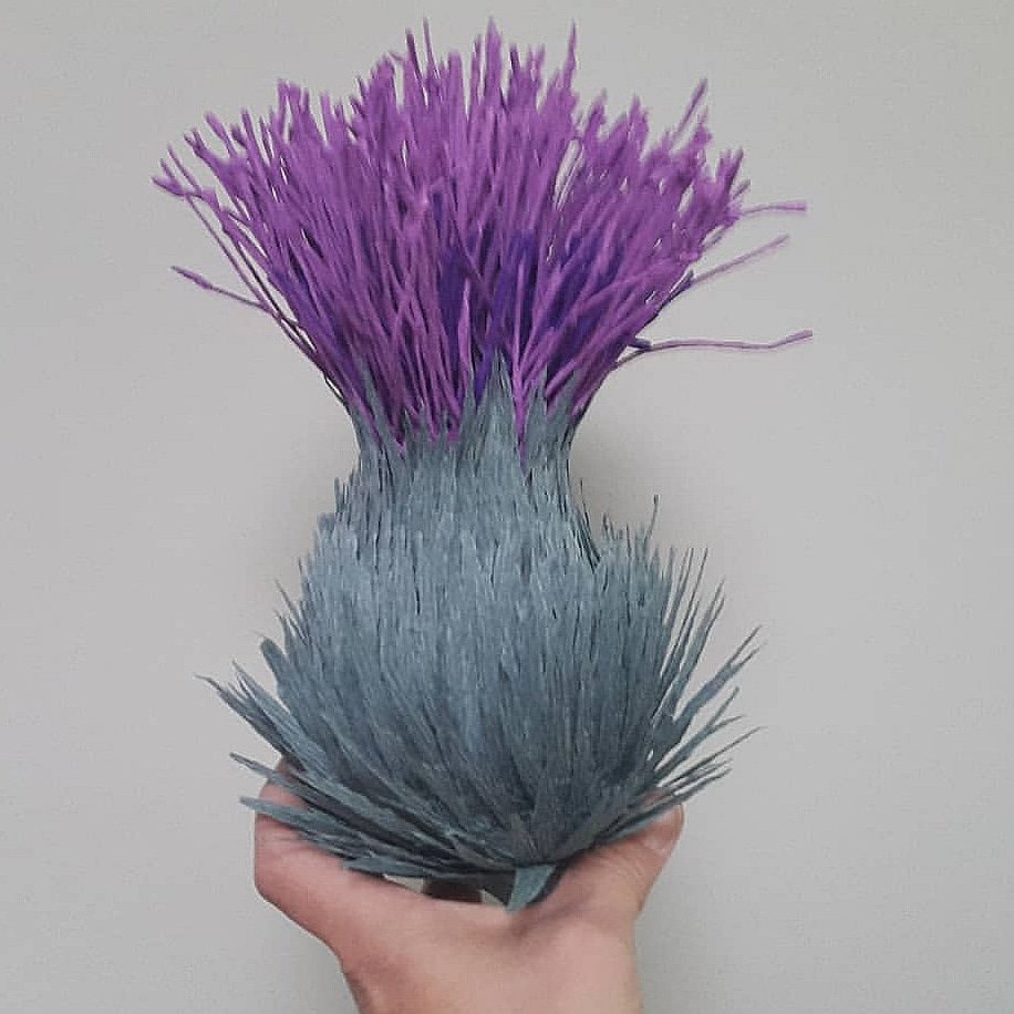 Thinking of Scotland and all those celebrating Burns Night. Enjoy 💕 #scotland #burnsnight #tradition #pride