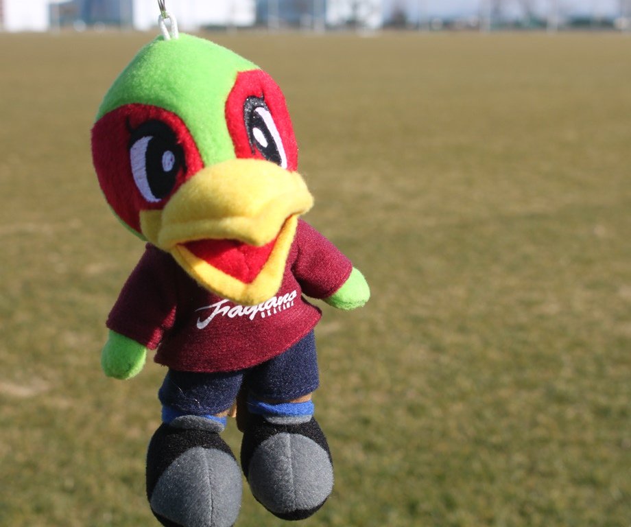 ファジアーノ岡山 2025ファジ丸ぬいぐるみ（FP GK 2nd）セット売り ファジアーノ岡山 2025ファジ丸ぬいぐるみ（FP GK 2nd）セット