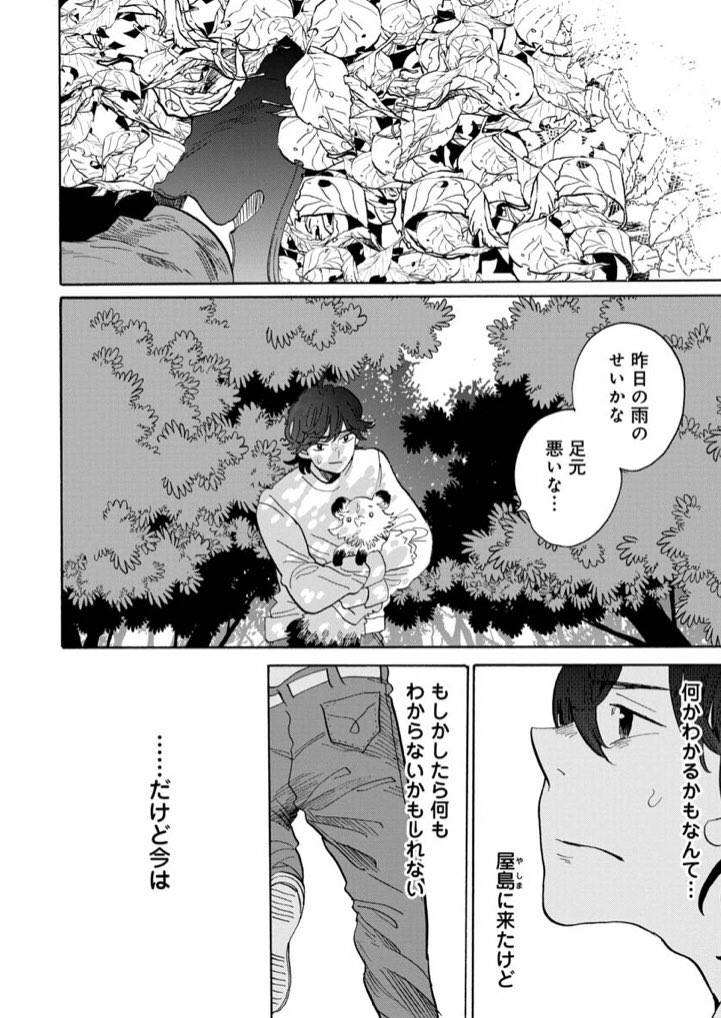 くらげバンチ 公式 Twitterren うどんの国の金色毛鞠 篠丸のどか 第68話 屋島 更新しました ポコの謎を知るために屋島へ向かう宗太 そこで思わぬアクシデントが 涙なしでは読めない 最終回直前のお話です T Co Akjvevdjvi うどんの国の金色毛鞠