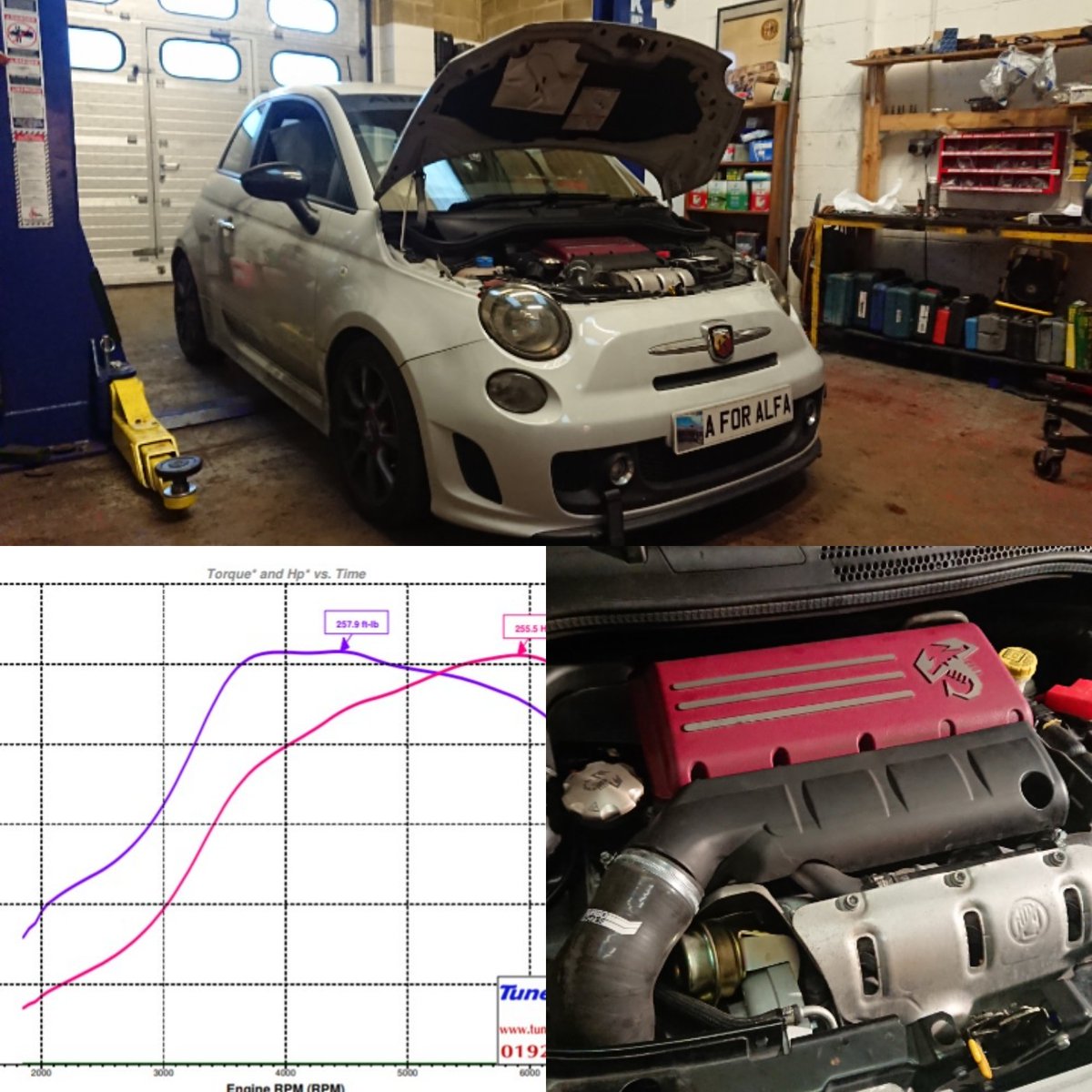 A for Alfa tweet media