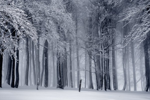 #kids Winter Wildlife with Tecolate Canyon TOMORROW  <a href="/SDPublicLibrary/">San Diego Public Library</a> socialrugrats.com/event/Winter41…