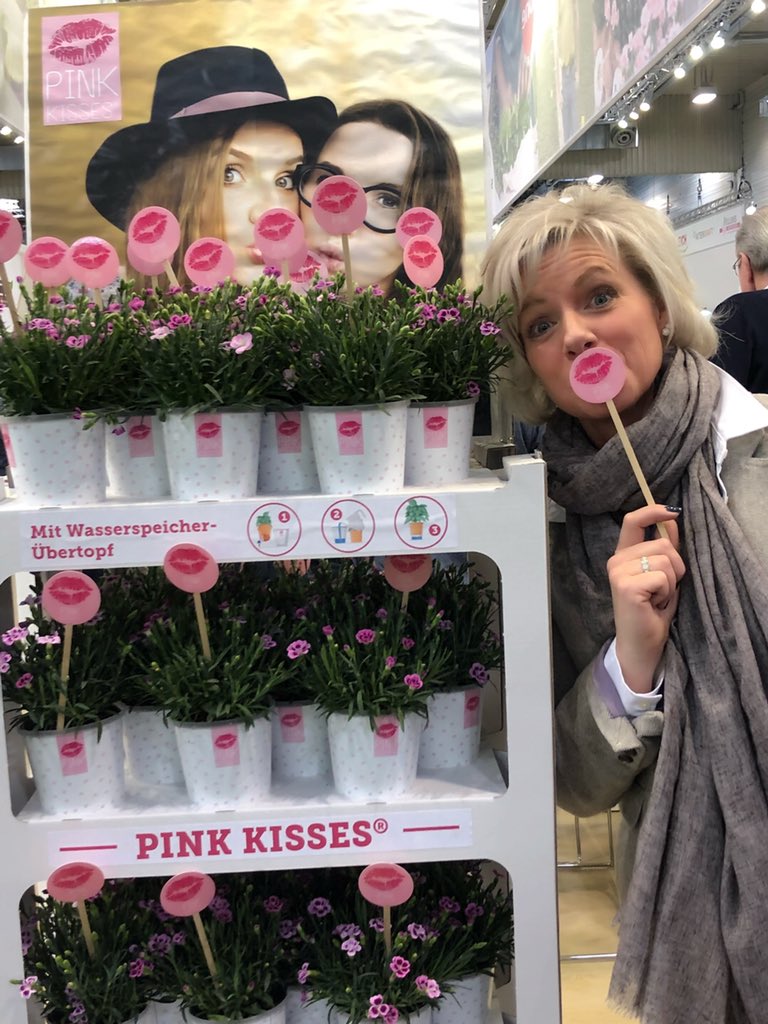 TanyaCBloomDiva's tweet photo. Pink Kisses 💋💕and Purple Sun Osteospermum ☀️💜#flowersmakemehappy #lovewhatyoudo #pinkkisses #osteospermum #germany #ipmessen2019 #selectaone #kiss https://t.co/jAo0pYJB4H
