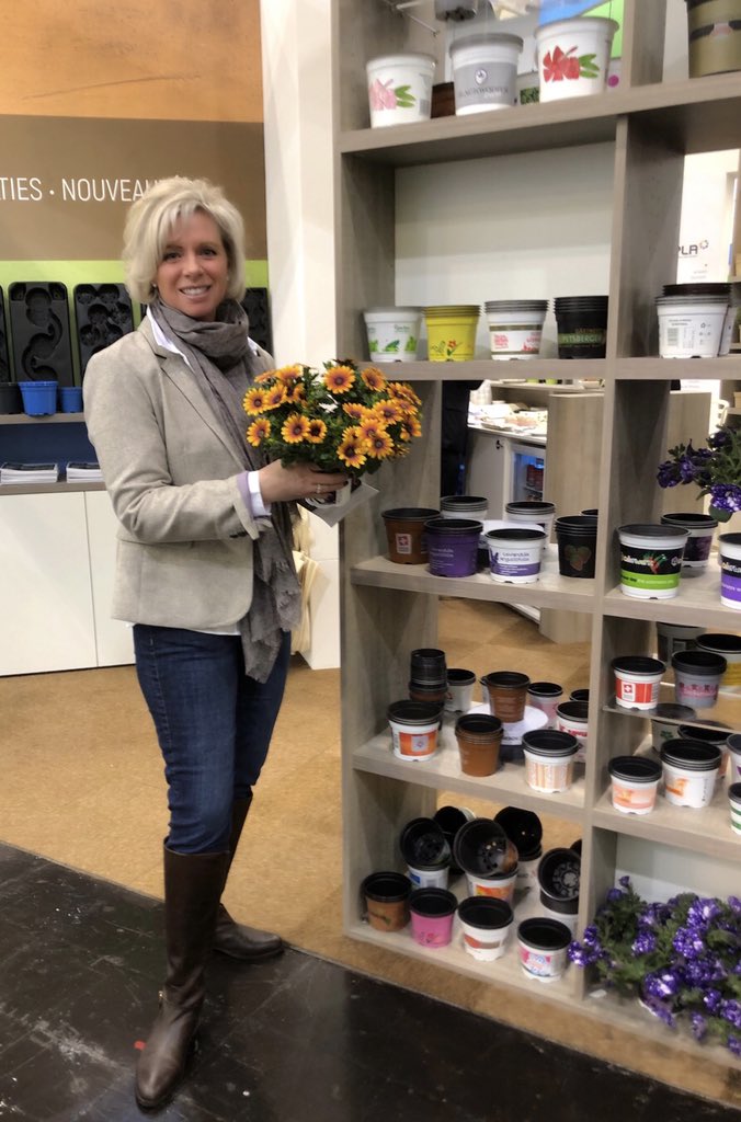 TanyaCBloomDiva's tweet photo. Pink Kisses 💋💕and Purple Sun Osteospermum ☀️💜#flowersmakemehappy #lovewhatyoudo #pinkkisses #osteospermum #germany #ipmessen2019 #selectaone #kiss https://t.co/jAo0pYJB4H
