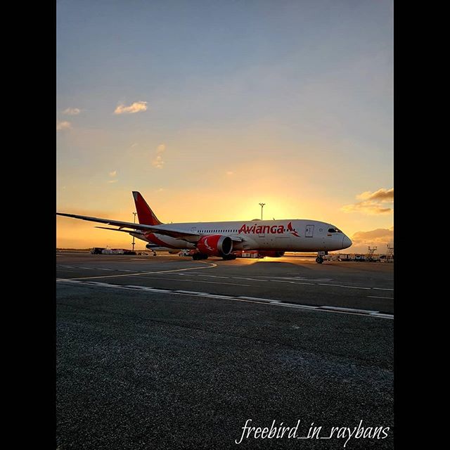 jeffjthompson's tweet photo. Reposting @freebird_in_raybans:
#jfkt4 #jfkiat #JFK #jfkiat #mensstyle #workhobby #photography #aviationphotography #travel #aviation #dappermen #iloveaviation #airside #airportoperation #rampcontrol #airside #airbus #boeing #boeing787 #freebirdchronicles #freebirdaviation https://t.co/BmGt8xmMpY