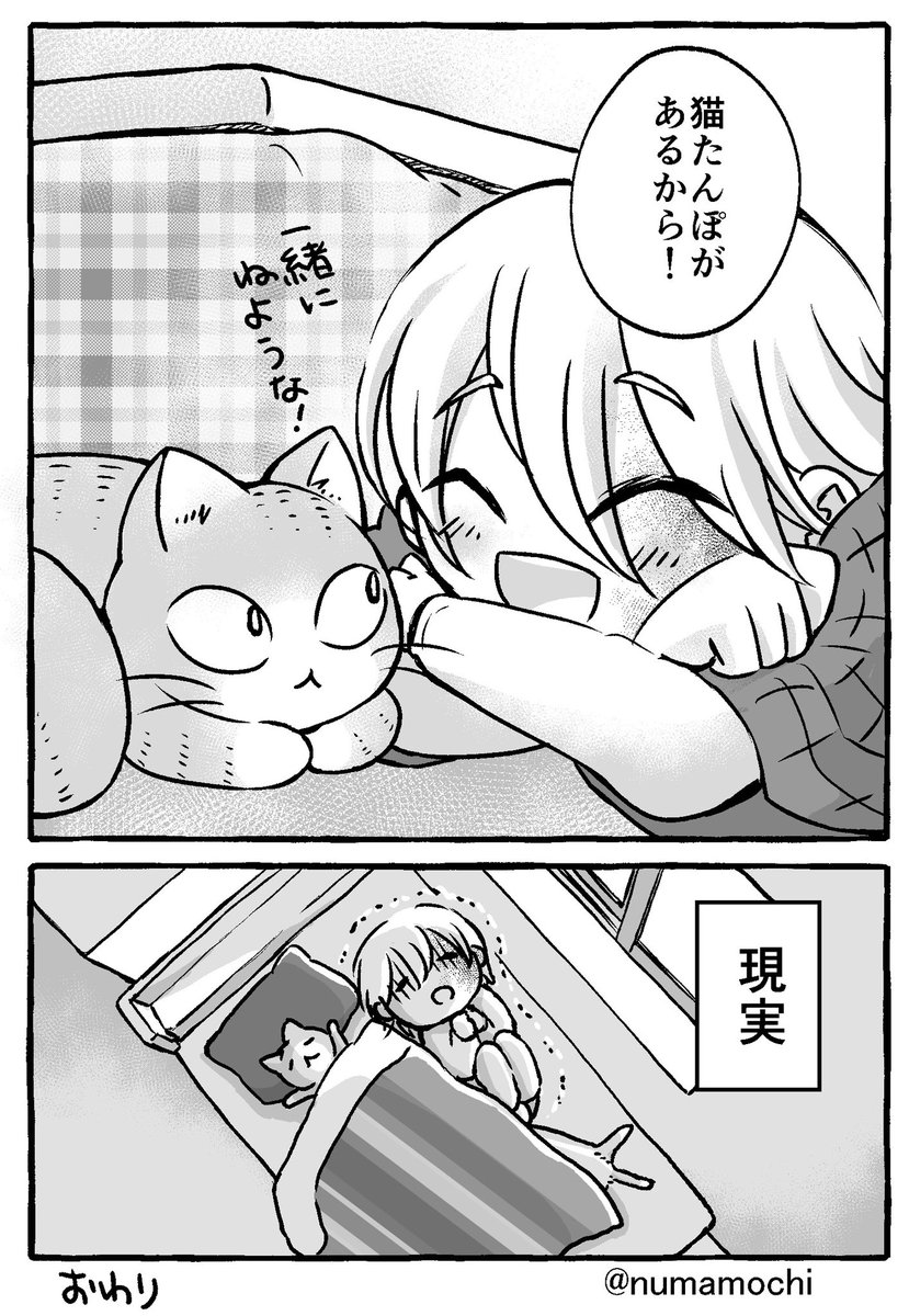 マフラー猫漫画4  
自分は湯たんぽ好きでよく使うけど友人は使ったことないらしいので湯たんぽ普及絵もあげておきます   #春まきマフラー猫 