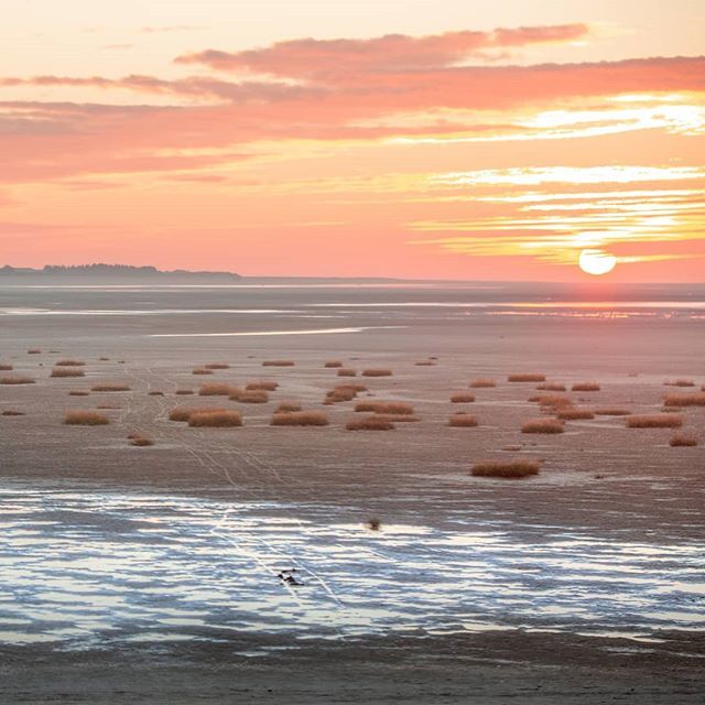 360Bees's tweet image. La Baie de Somme, seule la lumière possède le pouvoir de révéler ses multiples facettes.
.
.
.
@sommetourisme @igers_picardie @igersfrance
#hautetfort #hautsdefrance #hautsdefrancetourisme #picardie #landscapephotography #igers #somme #baiedesomme #gosom… bit.ly/2RLaC9L