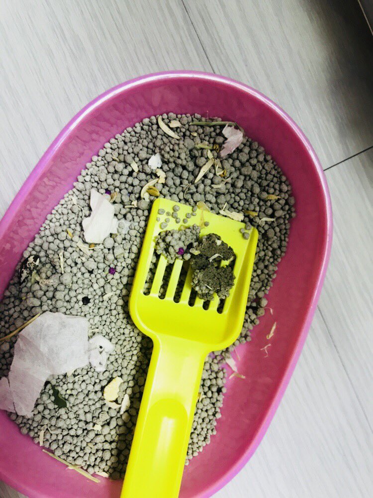 부부 화장실 가려요ㅠㅠㅠㅠㅠㅠㅠ 기특해ㅠㅠㅠㅠㅠㅠㅠ