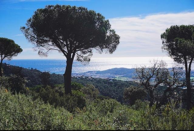 #onroerendgoed #eigendomtekoop #luxevillaeigendomen #herverkoop #Spanje #onroerendgoedSpanje #tekoop #tekoopCostaBrava #costaBrava