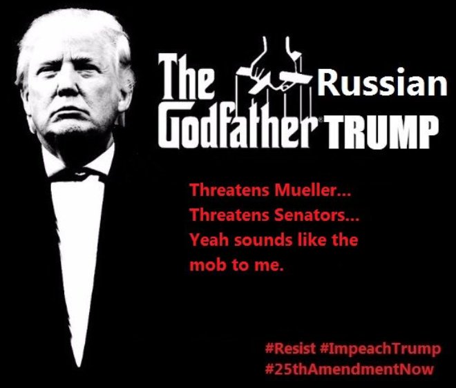 Nunya_Bizznizz's tweet photo. @AdamSerwer #RogerStoneArrested #TrumpRussia #TrumpIsATraitor #ImpeachTrump #MuellerIsComing #FBIFriday https://t.co/aVkyMDMMlF
