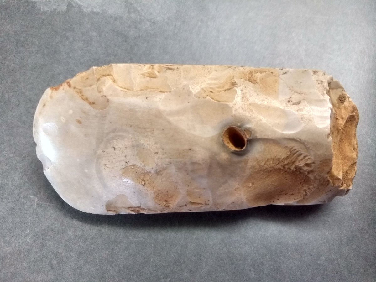 Guildford's Heritage (@gfdheritage) on Twitter photo For #FindsFriday this week we have a #Neolithic flint axe found in #Shackleford, Surrey. Its medium size tells us it was probably used for practical tasks like wood cutting. Bigger axes might have been exchanged for goods, or indicated social status. <a href="/surreyarch/">Surrey Archaeology</a> <a href="/SurreyHeritage/">Surrey History Centre</a> For #FindsFriday this week we have a #Neolithic flint axe found in #Shackleford, Surrey. Its medium size tells us it was probably used for practical tasks like wood cutting. Bigger axes might have been exchanged for goods, or indicated social status. <a href="/surreyarch/">Surrey Archaeology</a> <a href="/SurreyHeritage/">Surrey History Centre</a>